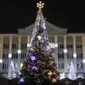 Головна ялинка Ірпеня засяє сьогодні: містян кличуть на програму та зустріч із Миколаєм