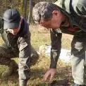 У київських лісах з’явилися саджанці від тисячолітніх дубів Шевченка