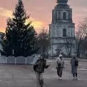 Головна ялинка Переяслава має свою історію: колись саджанець, тепер — символ свята