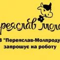 Робота з бронюванням: «Переяслав-Молпродукт» набирає працівників на постійні посади