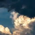 Погода на 12 грудня: у Києві та області — тепло, хмарно і з мрякою