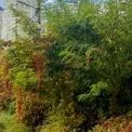 На Солом’янці хочуть відібрати ділянку в орендаря-боржника: прокуратура подала позов
