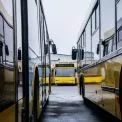 Автобуси і тролейбус у Києві змінять схеми руху через продуктові ярмарки