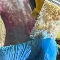 Київ у центрі наркотрафіку: заборонені речовини розсилали поштою