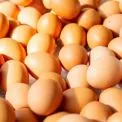 Де в Києві нині купити фермерські продукти: перелік ярмарків