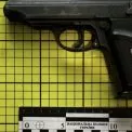 Знайшов у лісі пістолет і здав поліції: на Київщині чоловік пройшов декларування