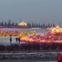 Глінтвейн, фотозони і світло: Добропарк запрошує на фестиваль ілюмінації