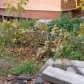 Без сміття і розриттів: що впорядкували у районах столиці за останні дні
