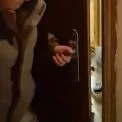 Напав на власницю: у Києві волонтери забрали вовка з квартири