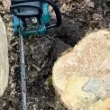 Незаконна порубка лісу на Київщині: у Білоцерківському районі підозрюють чоловіка у завданні збитків громаді