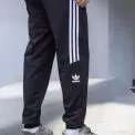 Городской ритм и комфорт: почему спортивные штаны Adidas стали частью киевского лайфстайла