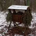 Допомога лісовим мешканцям: у Києві заготовили 1 500 кормових віників