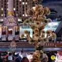 Святвечір на Майдані Незалежності: як Київ зустрів різдвяний вечір