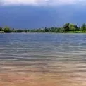 Заповідні озера і чисті річки: що планує «Плесо» для водної екосистеми Києва
