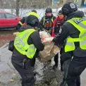 Біла Церква під ударом: кількість постраждалих зросла до п’яти, область має 14 поранених і одну загиблу