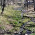Вода під асфальтом: чому Київ повторює шлях до Куренівської трагедії