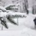 Сніг, хуртовини й морози до −12°С: якою буде погода в Києві наступного тижня