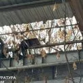 Мільйони під відкритим небом: на Троєщині розслідують розтрату комунального майна