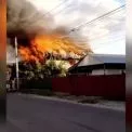 Трагедія у Броварах: під час пожежі загинула жінка, врятовано собаку