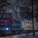 Київська дитяча залізниця працює до лютого: розклад і ціни святкових рейсів
