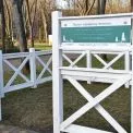 Київ дає ялинкам друге життя: з січня працюватимуть 72 пункти прийому