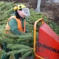 У Києві відкрили 72 пункти прийому новорічних ялинок