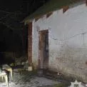 Смерть у родині: онука з Київщини взяли під варту після експертизи