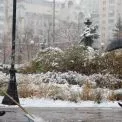 Обережно на дорогах: Київ накриє густий туман та небезпечна ожеледиця 7 січня