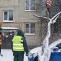 Негода повалила та пошкодила понад 800 дерев у Києві