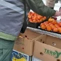 У Києві перевіряють якість продуктів на ярмарках