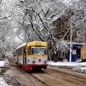 Київрада не розглядатиме петицію про посилення контролю в наземному транспорті