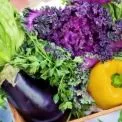 Де купити продукти від фермерів: графік ярмарків у Києві на 13–18 січня