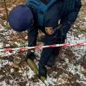 Безпечні ліси: на Київщині у 2026 році планують розмінувати 45 гектарів