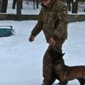 Крадіжка не вдалася: на Київщині собаки допомогли повернути EcoFlow