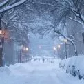 Крижана казка: мережу підкорюють фото засніженого Києва, від яких перехоплює подих