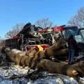 Аварія на маршруті «Відень — Київ»: автобус врізався в дерево на Львівщині, семеро пасажирів у лікарні