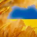 До Дня Соборності у Києві відкриють фотовиставку про українську армію