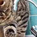 Київ без води у кількох районах після нічної атаки РФ