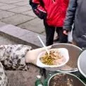 Гаряче харчування для киян: ДСНС підготувала 41 польову кухню