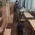 Сьогодні на Київщині масово повідомляли про замінування шкіл і дитсадків