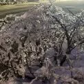 Від −24°C до відлиги: якою буде погода у Києві з 2 по 8 лютого