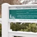 Ялинковий рекорд у столиці: кияни здали 7 тисяч дерев на переробку