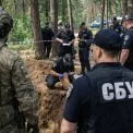 Замість дерев — багатоповерхівки: в Ірпені викрили схему захоплення лісу на 8 млн грн