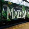 У київському метро запустили артвагон із «справжніми» мавками: як він виглядає та що всередині?
