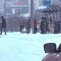 Вулиці Києва під снігом: водії стикаються з заторами та ожеледицею
