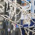 Оренда в крижаному Києві: скільки кияни платять за тепло взимку 2026 року