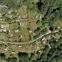 Дерибан природи у Києві: суд зобов’язав знести 33 незаконні будинки в Голосіївському парку