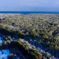 Землі для оборони: Зеленський змінив межі Чорнобильського заповідника — що це означає для Києва й країни