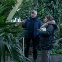 Азалії не зацвіли вчасно: війна й морози змінили життя рослин ботсаду Гришка у Києві