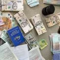 «Швидкі довідки» для тварин: у Києві сімом керівникам ветлікарень оголосили підозру в корупції